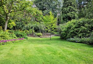 Optimiser l'expérience du jardin à Niederbruck
